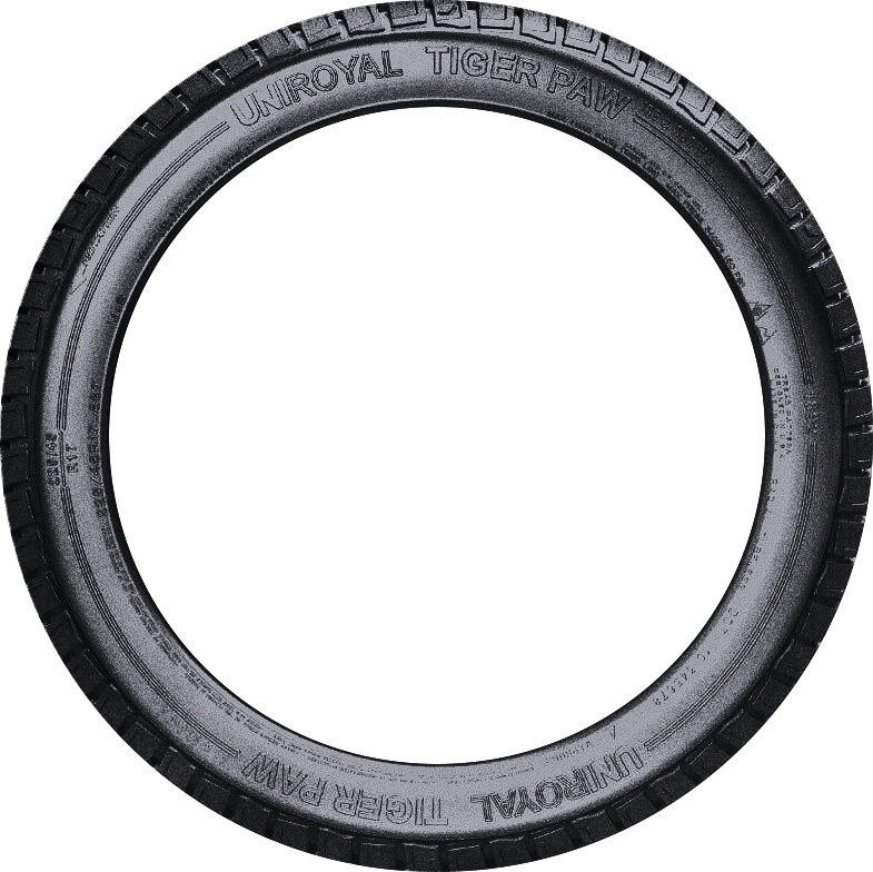 Uniroyal Tiger Paw Ice & Snow 4 255/50R20 tire view 2
