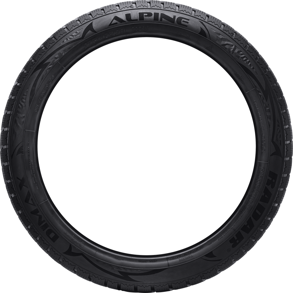 Radar Dimax Alpine 205/55R17 tire view 2