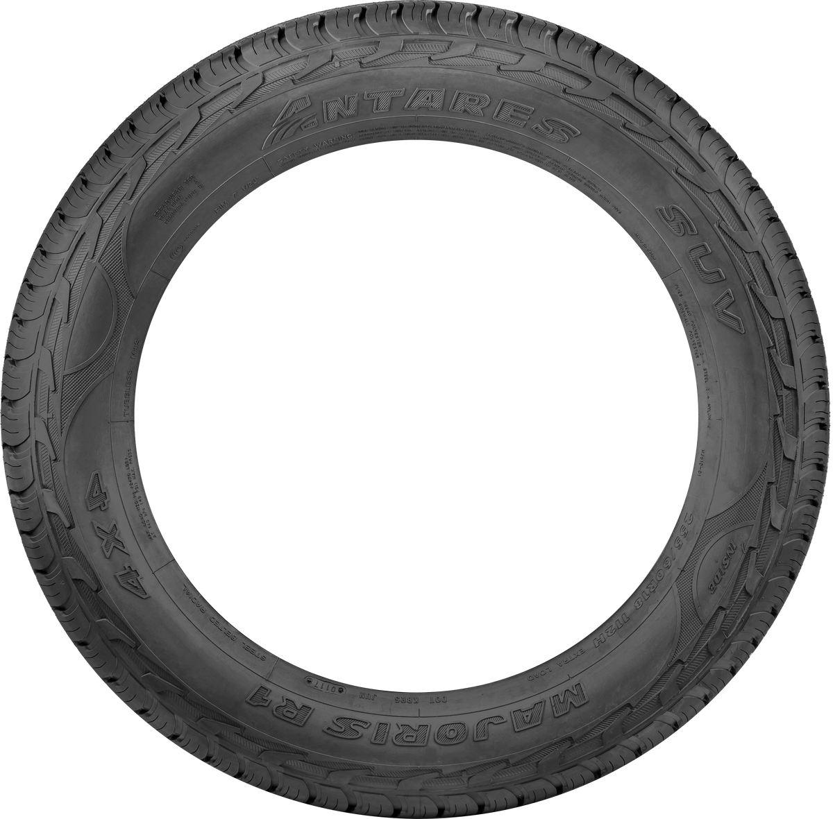 Antares Majoris R1 305/35R20 tire view 2